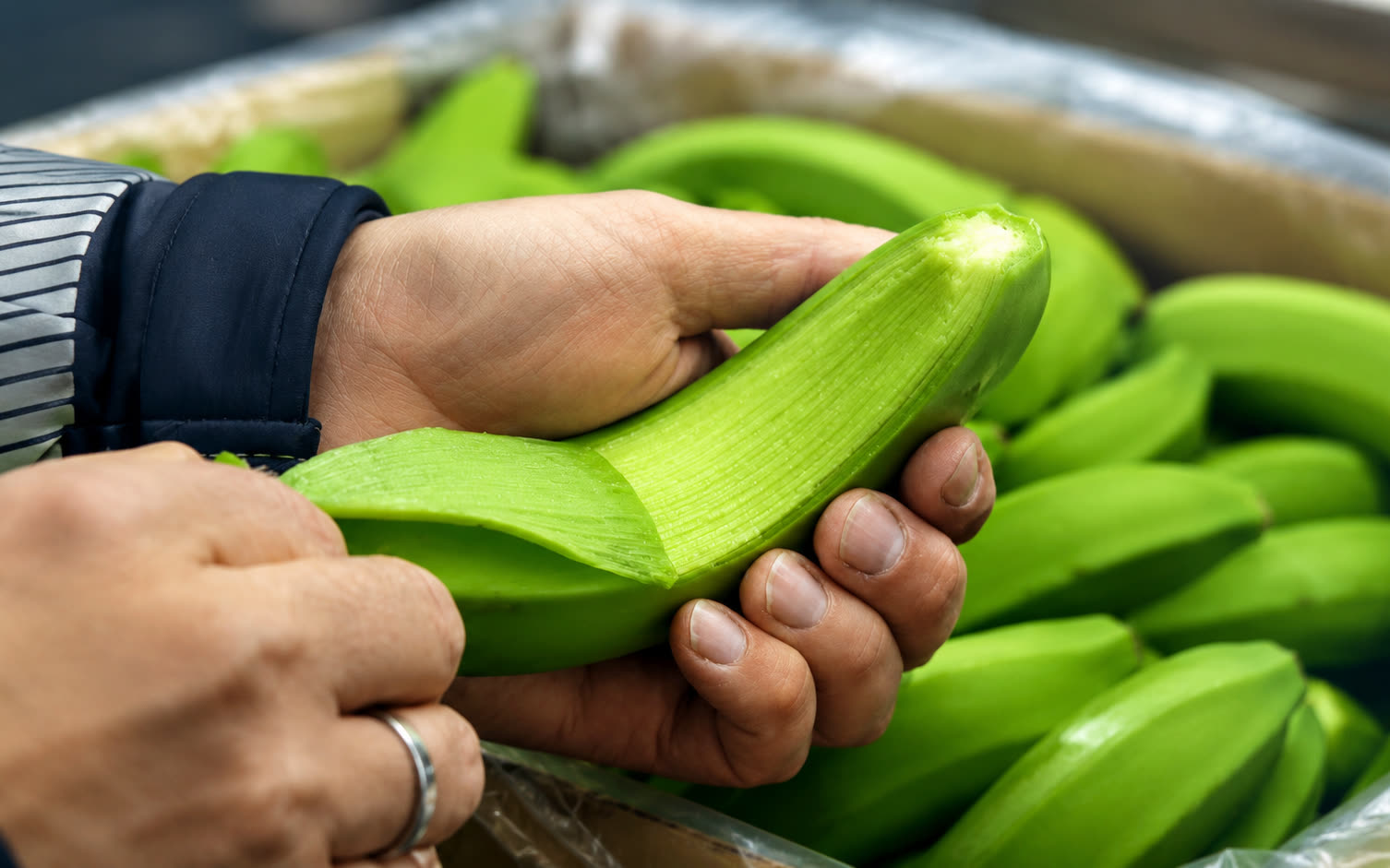 EU-Konformitätskontrolle von Bananen (BLE-registriert)